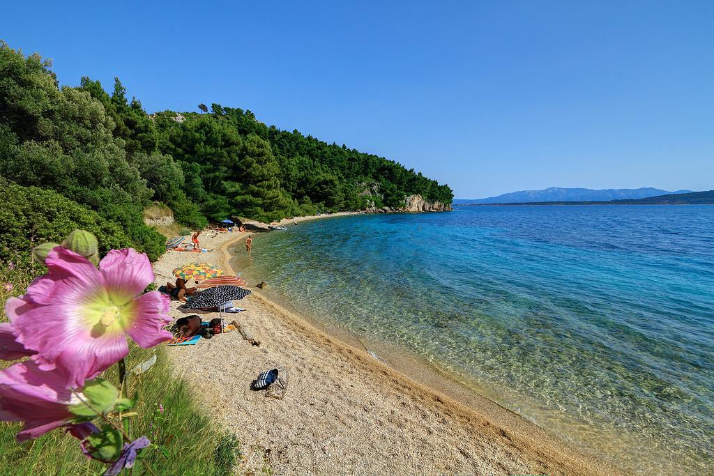 Holiday House Zorra Živogošće Pokój zdjęcie
