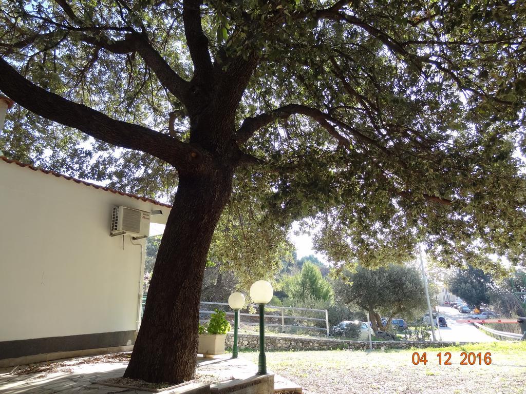 Holiday House Zorra Živogošće Zewnętrze zdjęcie