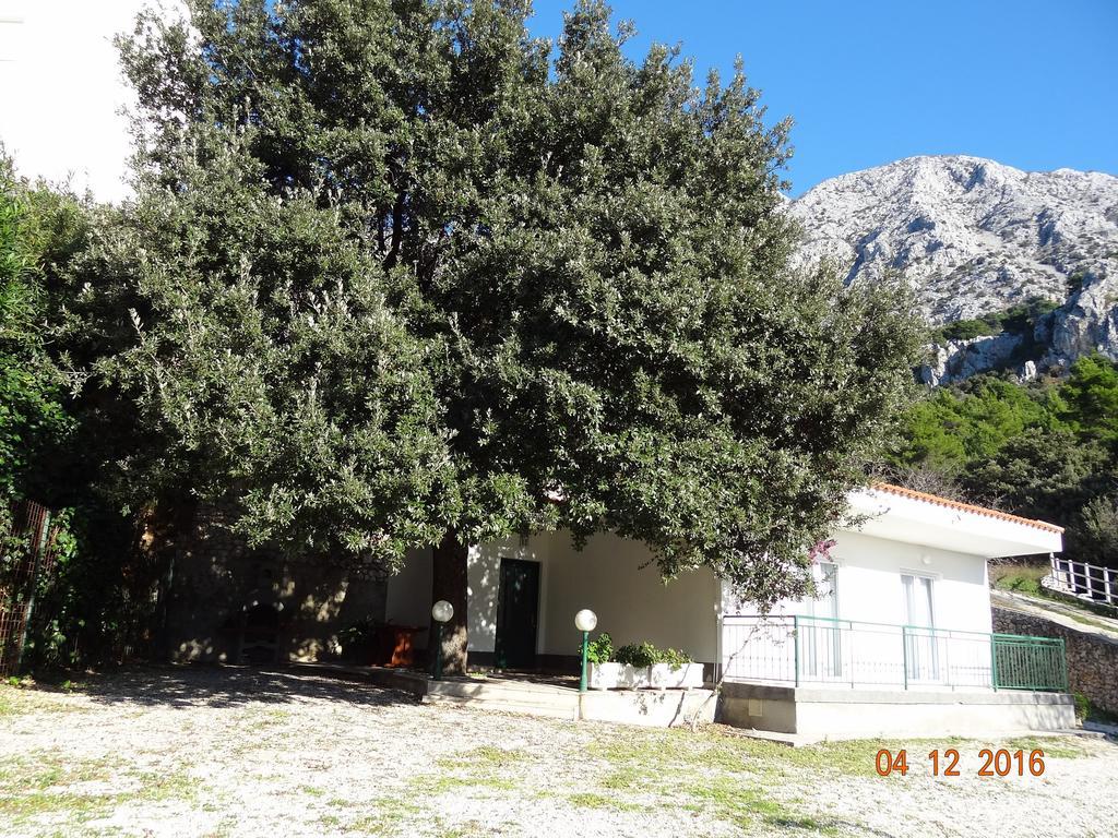 Holiday House Zorra Živogošće Zewnętrze zdjęcie